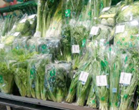 成都知名商用香蕉成人网站下载設備廠為你揭示那些食物千萬不能用保鮮膜